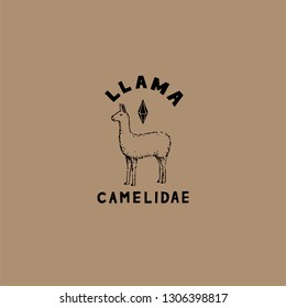 llama logo icon. llama are animals with the family camelidae. this artwork is a technical hand drawing