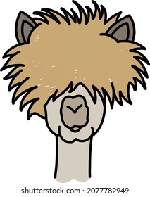 a llama with long hair looks very model-worthy