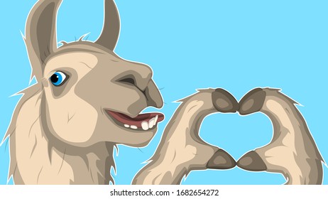 Llama makes a heart sign with his own hands. Funny llama.