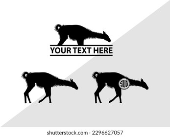 Llama Monogram Vector Illustration Silhouette