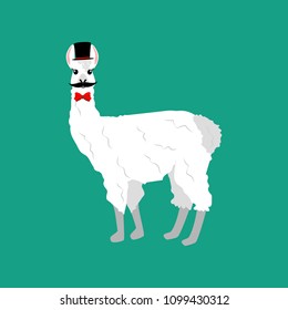 Llama with mustache
