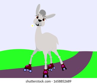 llama on roller skates.happy llama rides down the road on roller skates with a flower in her mouth.Vector illustration