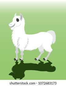 A llama on standby waiting to carry luggage