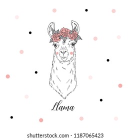 Llama portrait in rose garland