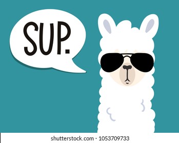 
Llama poster with inscription "sup" means
"what's up". Simple alpaca head with sunglasses on blue background. Vector illustration with llama for poster, case, textile, invitation etc.