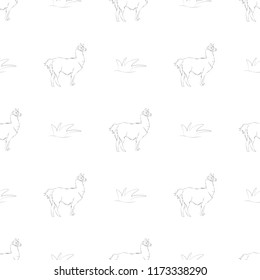 Llama seamless pattern. A beautiful realistic hand drawn sketch of alpaca or lama. Concept for background or print
