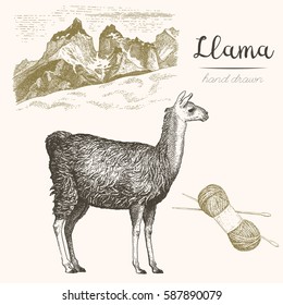 Llama. Set of vector sketches of llama and mountain landscape on a white background