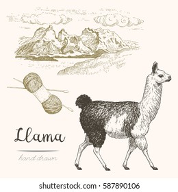 Llama. Set of vector sketches of llama and mountain landscape on a white background