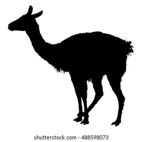 Llama silhouette