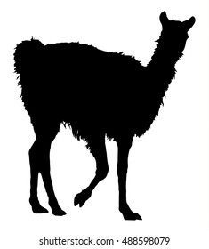 Llama silhouette