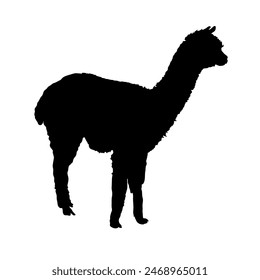 llama silhouette, alpaca silhouette - vector illustration	