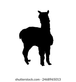 silueta de llama, silueta de alpaca - Ilustración vectorial	