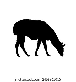 llama silhouette, alpaca silhouette - vector illustration	