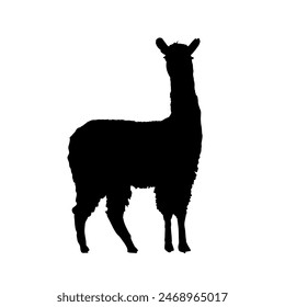 llama silhouette, alpaca silhouette - vector illustration	