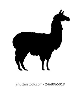 llama silhouette, alpaca silhouette - vector illustration	