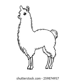 Llama silhouette drawing vector