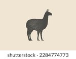 Llama silhouette is drawn with a stamp effect. Alpaca animal of South America. Vintage emblem. Design element for shop, market, packaging, labels, and logo. Vector illustration. 
