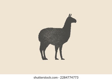 Llama silhouette is drawn with a stamp effect. Alpaca animal of South America. Vintage emblem. Design element for shop, market, packaging, labels, and logo. Vector illustration. 