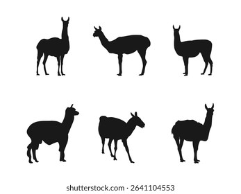 Llama silhouette icon. Simple silhouette of a llama, perfect for logos or branding. Various llama silhouettes on a white background.