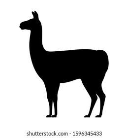 Llama silhouette isolated on white. Side view logo icon standing llama silhouette.