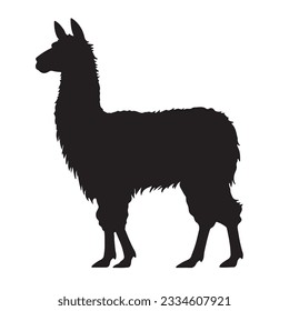 llama silhouette isolated on white background