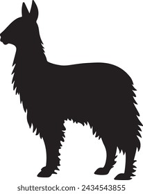 Llama Silhouette Vector Illustration White Background
