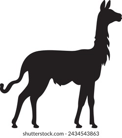 Llama Silhouette Vector Illustration White Background