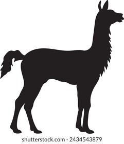 Llama Silhouette Vector Illustration White Background
