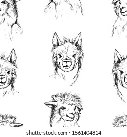 Llama sketch seamless pattern. Animal background black and white