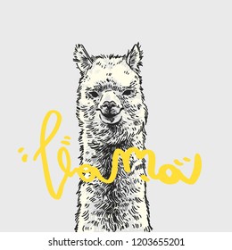 Llama slogan. Lama monochrome. Typography graphic print, fashion drawing for t-shirts .Vector stickers,print, patches vintage