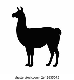 Llama silhueta em pé contra fundo branco