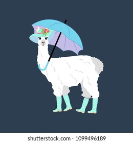 Llama under umbrella on the blue background. Vector illustration