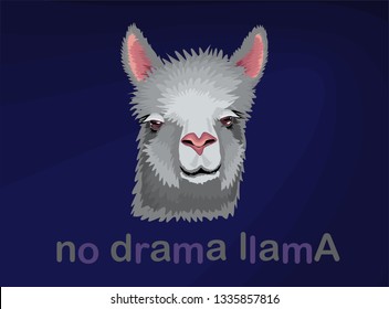 Llama vector doodles. No prob llama motivational rich billionaire llama.
Simple cool llama head drawing, hand drawn vector illustration for cards, t-shirts, cases