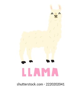 Llama. Vector flat illustration on white background. Hand drawn graphic design. Domestic animal.