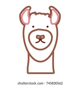 llama vector illustration