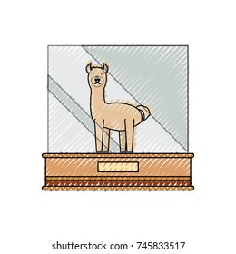 llama vector illustration