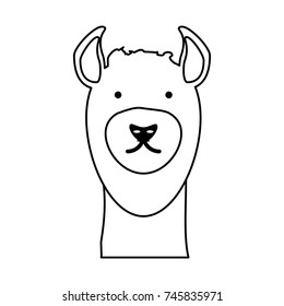 llama vector illustration