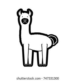 llama vector illustration