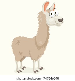 Llama Vector Illustration