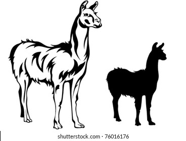 llama vector illustration