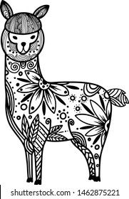 Llama vector illustration. Hand drawn illustration