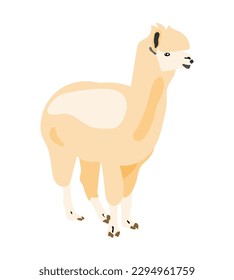 llama vector image or clipart