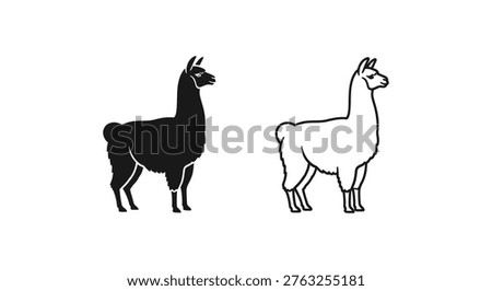 Llama vs Alpaca Distinctive Animal Comparison Guide Vector