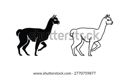 Llama vs Alpaca: Distinctive Breeds Comparison Guide Vector