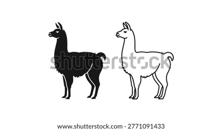Llama vs Alpaca: Distinctive Breeds Comparison Guide Vector