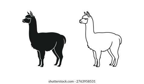 Llamas Comparison Black vs White Camelids Guide Vector