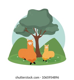Llamas cute animals cartoons
