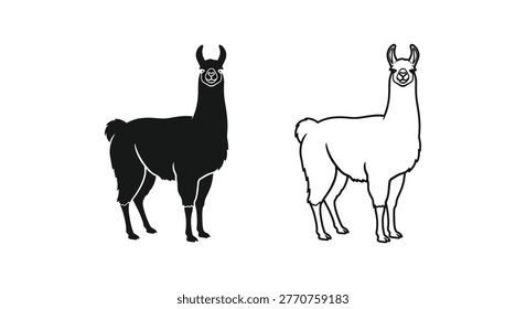 Llamas vs Alpacas: Distinctive Features Guide Vector