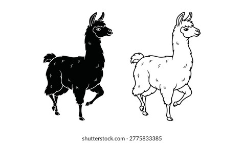 Llamas vs Alpacas Distinctive Features Guide Vector