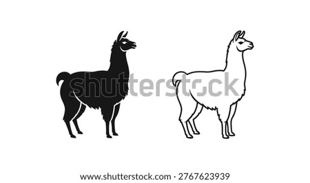 Llamas vs Alpacas Distinctive Features Guide Vector